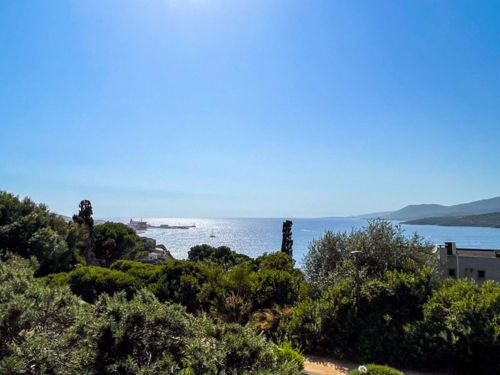 � vendre  Appartement Propriano (20110)