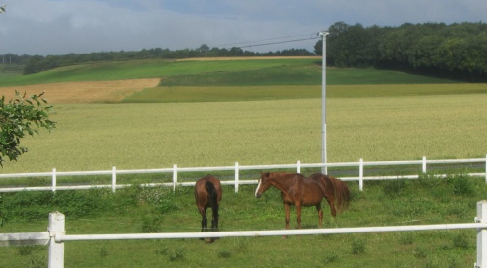 � vendre  Propri�t�/ch�teau Mondion (86230)