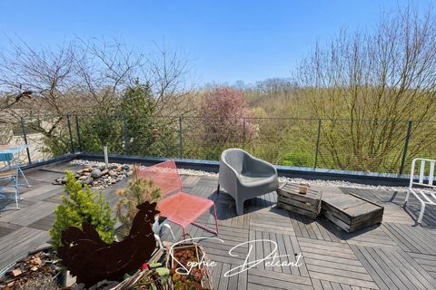   Maison familiale 7 pi�ces avec terrasse panoramique � Beaumont-la-Ronce (� 20 min de Tours Nord) Maison - 7 pi�ce(s) - 120 m�