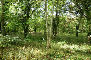  Propri�t�/ch�teau � vendre 15 + pi�ces 450 m�