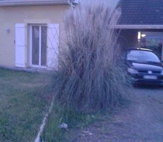  Maison � louer 7 pi�ces 165 m�