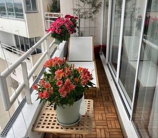  Appartement � louer 4 pi�ces 75 m�