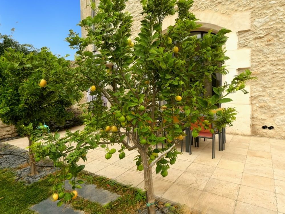 � vendre  Maison Capestang (34310)