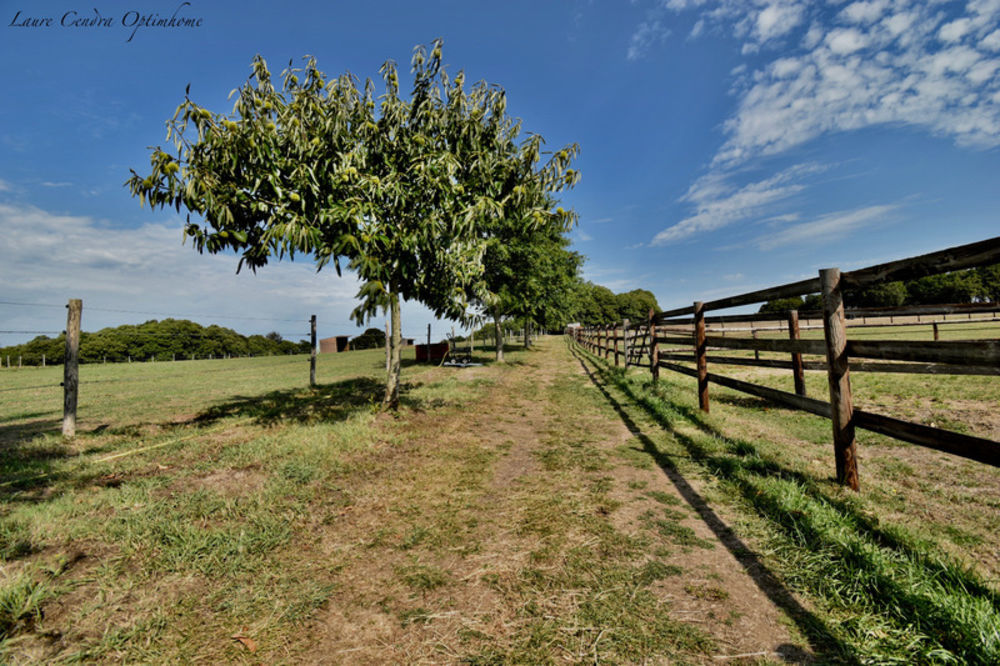 � vendre  Maison Lorient (56100)