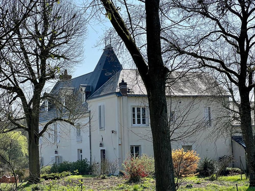 � vendre  Propri�t�/ch�teau Vend�me (41100)
