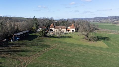   Domaine exceptionnel, 12 Ha, 2 maisons et grande b�tisse de 1930, grange de stockage, 30 min de Pau Propri�t�/ch�teau - 10 pi�ce(s) - 500 m�
