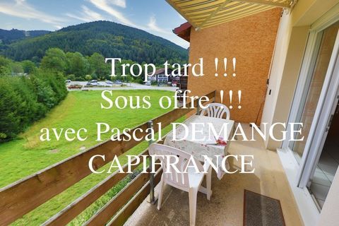   Dpt Vosges (88), � vendre VENTRON appartement T3 de 58,33 m� Appartement - 3 pi�ce(s) - 58 m�