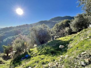  Terrain � vendre 3015 m�