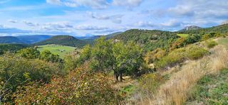  Maison � vendre 6 pi�ces 230 m�