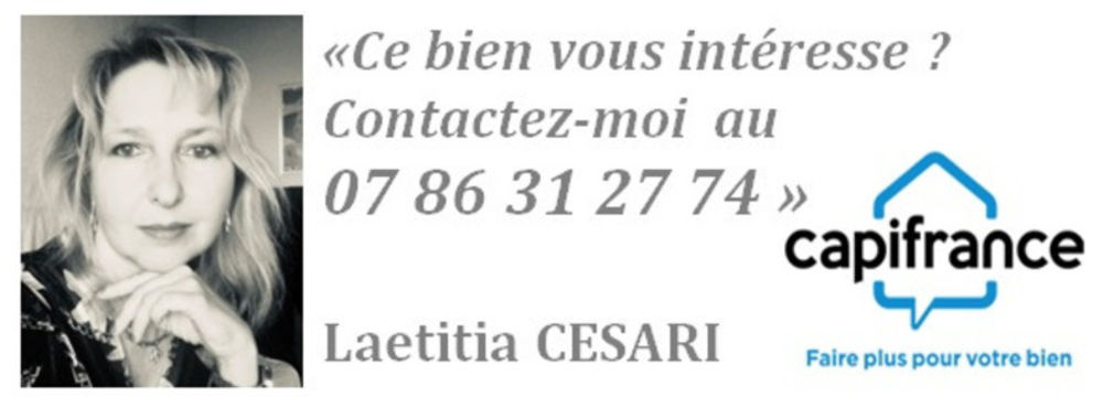 � vendre  Propri�t�/ch�teau Cateri (20225)