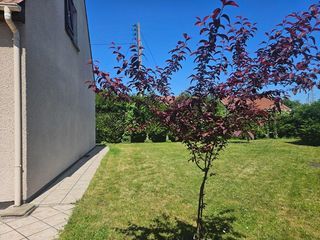  Maison � vendre 6 pi�ces 145 m�