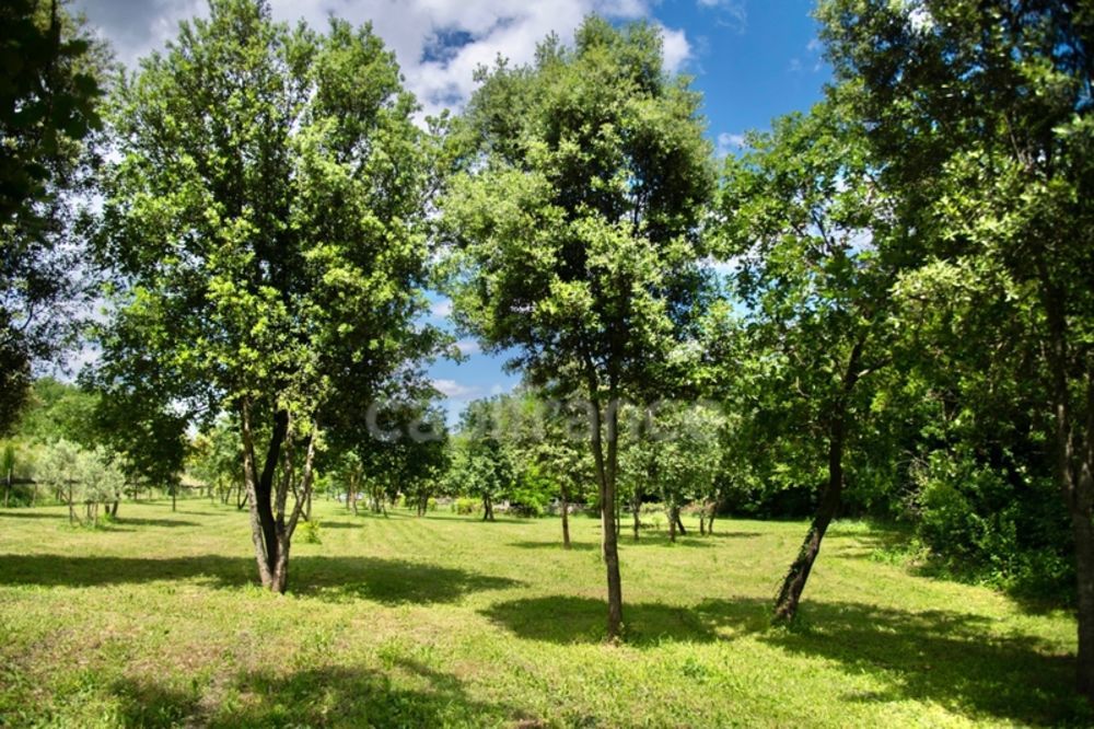 � vendre  Propri�t�/ch�teau Uz�s (30700)