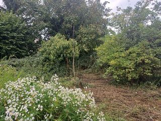  Immeuble � vendre 8 pi�ces 176 m�