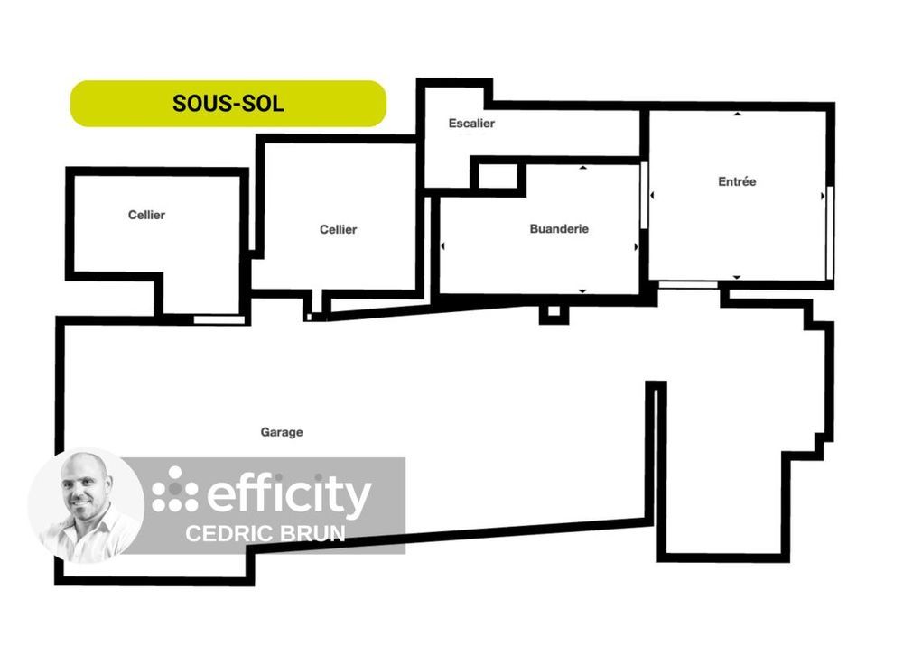 � vendre  Chalet Passy (74190)