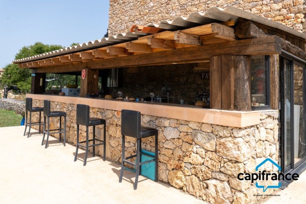 � vendre  Propri�t�/ch�teau R�gusse (83630)