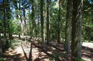  Terrain � vendre 1 pi�ce 2663 m�