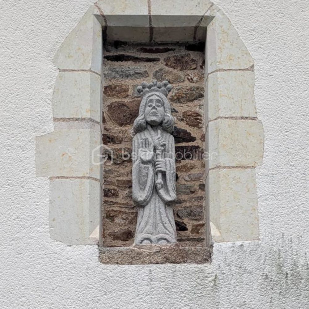 � vendre  Propri�t�/ch�teau Saint-Augustin-des-Bois (49170)