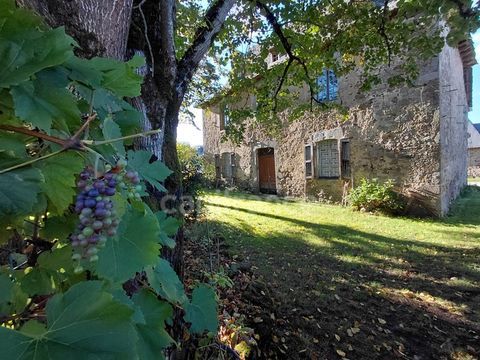   Maison de Ma�tre du XVIIIe si�cle avec d�pendances et terrain de plus de 3 hectares � Puycapel (15) Ferme - 6 pi�ce(s) - 149 m�