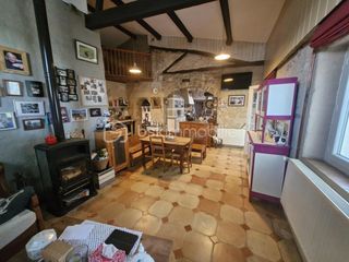  Maison � vendre 15 + pi�ces 350 m�