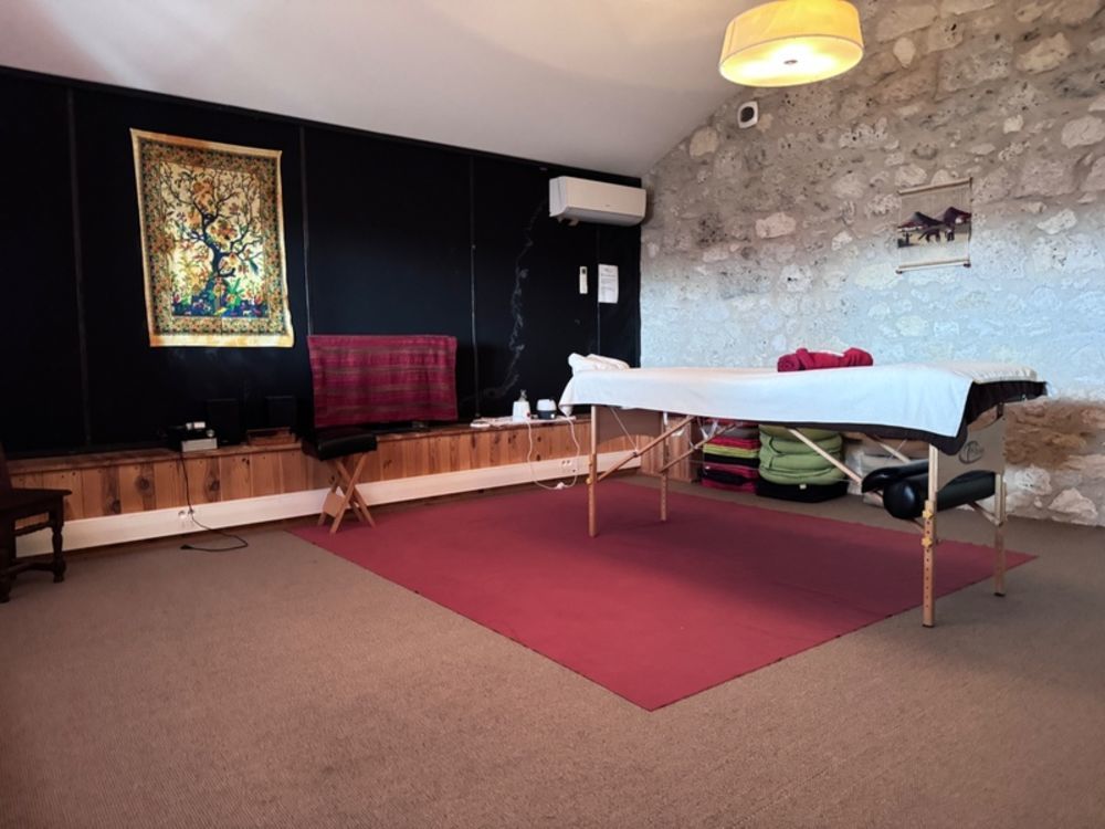 � vendre  Propri�t�/ch�teau Agen (47000)