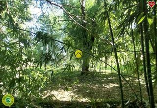  Maison � vendre 4 pi�ces 118 m�