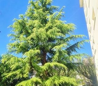  Appartement � vendre 2 pi�ces 41 m�