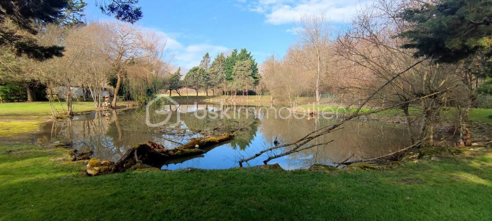 � vendre  Propri�t�/ch�teau Luynes (37230)