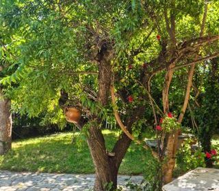  Maison � vendre 6 pi�ces 169 m�