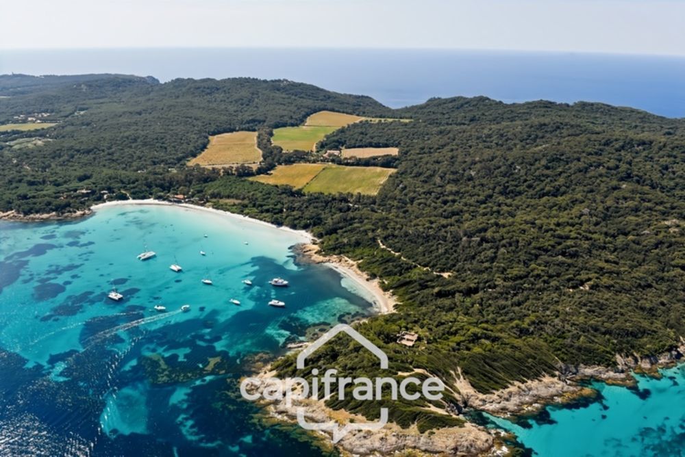 � vendre  Appartement Porquerolles (83400)