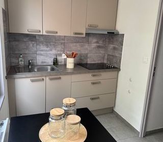  Appartement � louer 1 pi�ce 22 m�