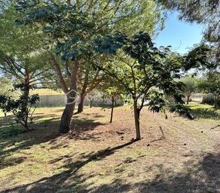  Terrain � vendre 376 m�