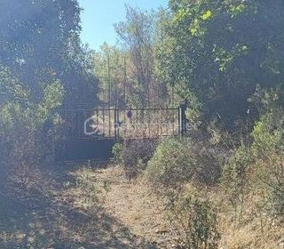  Terrain � vendre 4296 m�