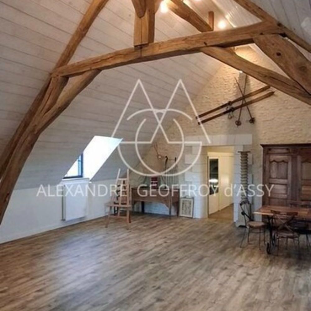 � vendre  Propri�t�/ch�teau Chenonceaux (37150)