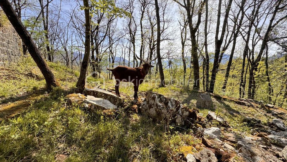 � vendre  Maison Meylan (38240)