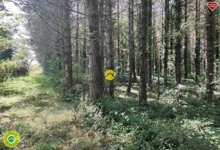  Terrain � vendre 102260 m�