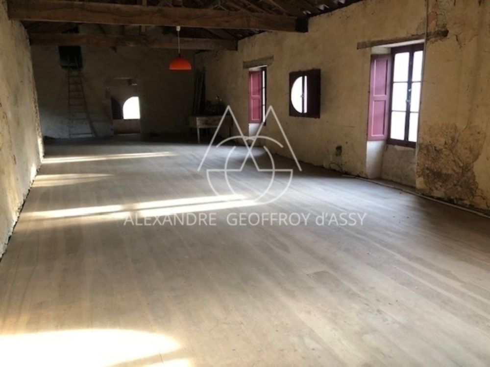 � vendre  Propri�t�/ch�teau Habas (40290)