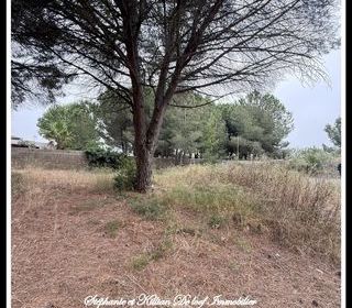  Terrain � vendre 1001 m�