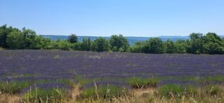  Maison � vendre 3 pi�ces 45 m�