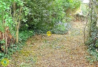  Propri�t�/ch�teau � vendre 4 pi�ces 62 m�