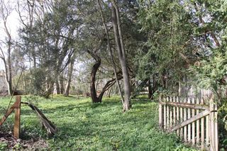  Terrain � vendre 8124 m�