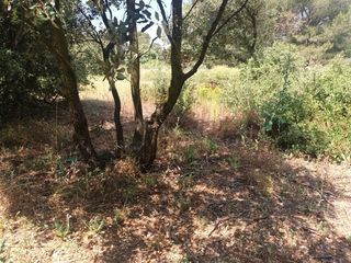  Terrain � vendre 7993 m�