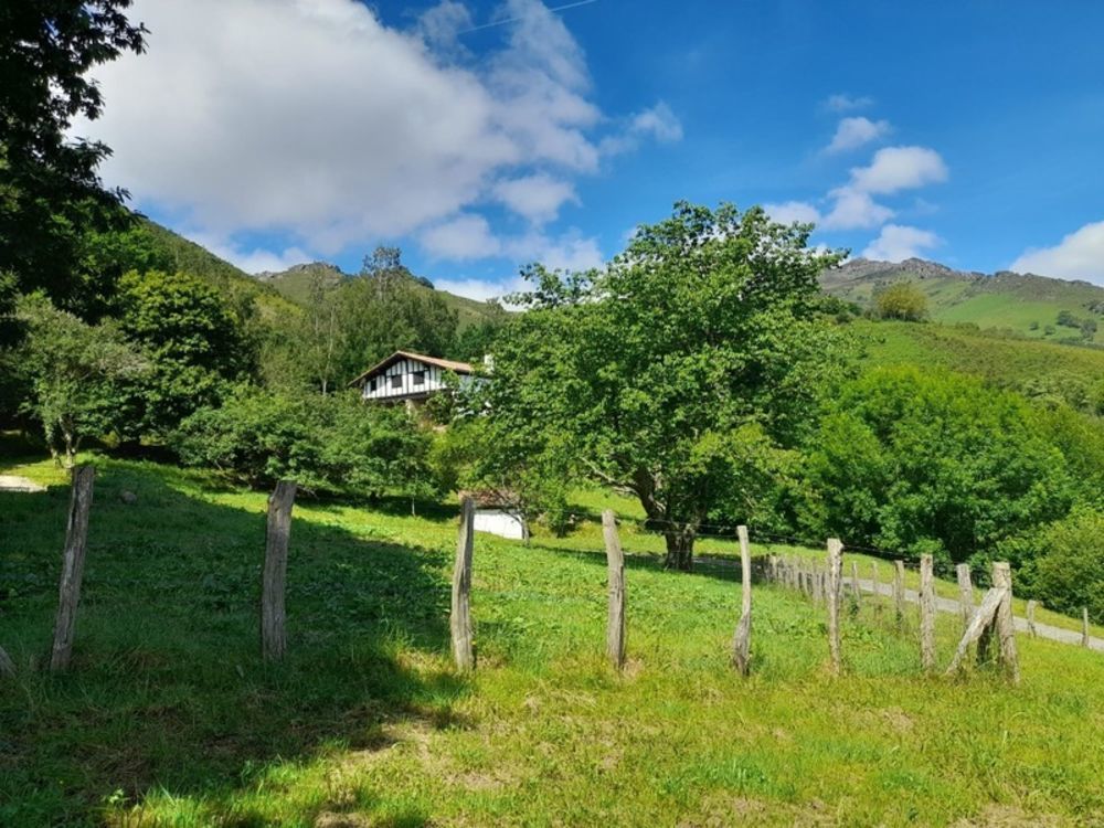 � vendre  Propri�t�/ch�teau Sare (64310)