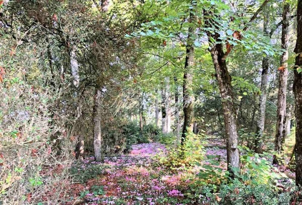 � vendre  Propri�t�/ch�teau Tours (37000)