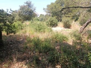  Terrain � vendre 7993 m�