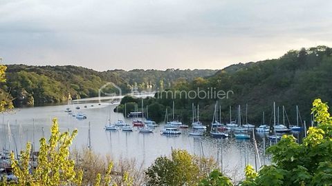   Propri�t� avec g�tes face Vilaine Propri�t�/ch�teau - 9 pi�ce(s) - 294 m�