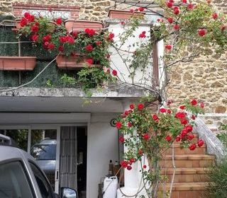  Appartement � louer 1 pi�ce 13 m�