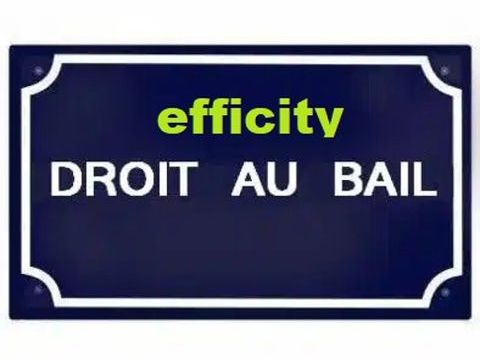 Local commercial 175000 06300 Nice