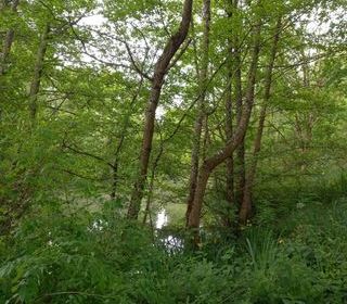  Terrain � vendre 405 m�