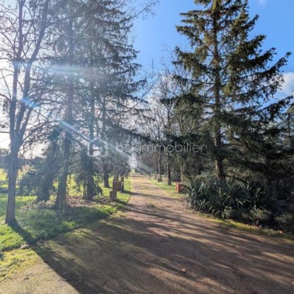 � vendre  Propri�t�/ch�teau Saint-Augustin-des-Bois (49170)