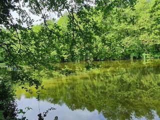  Terrain � vendre 34403 m�